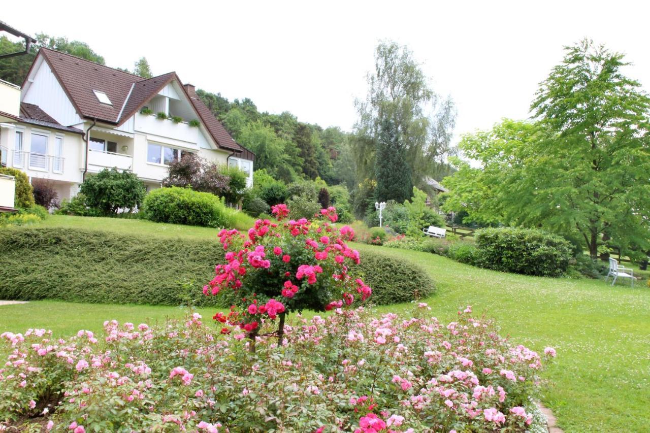 Appartamento Haus Am Steinberg Bad Driburg Esterno foto