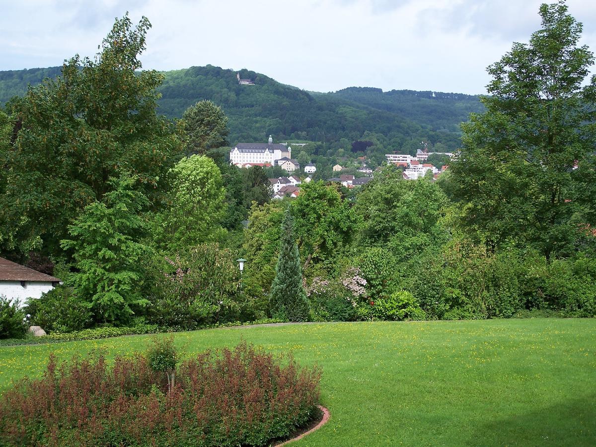 Appartamento Haus Am Steinberg Bad Driburg Esterno foto